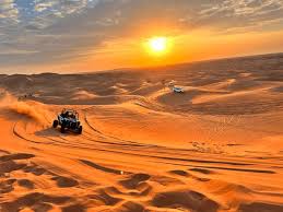 Safari Tours